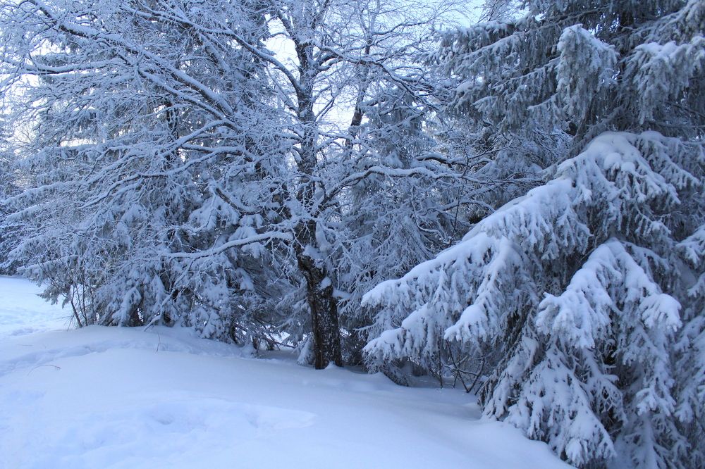 Photograph by TATIANA MASYCHEVA