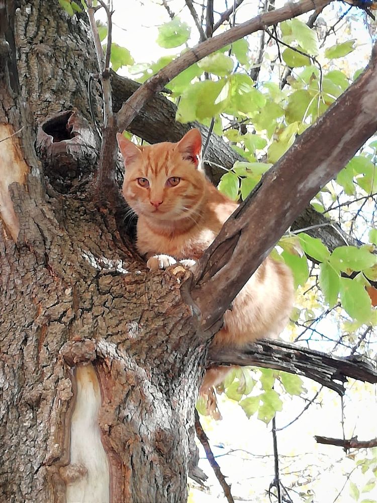 Photograph by Galina Novichkova