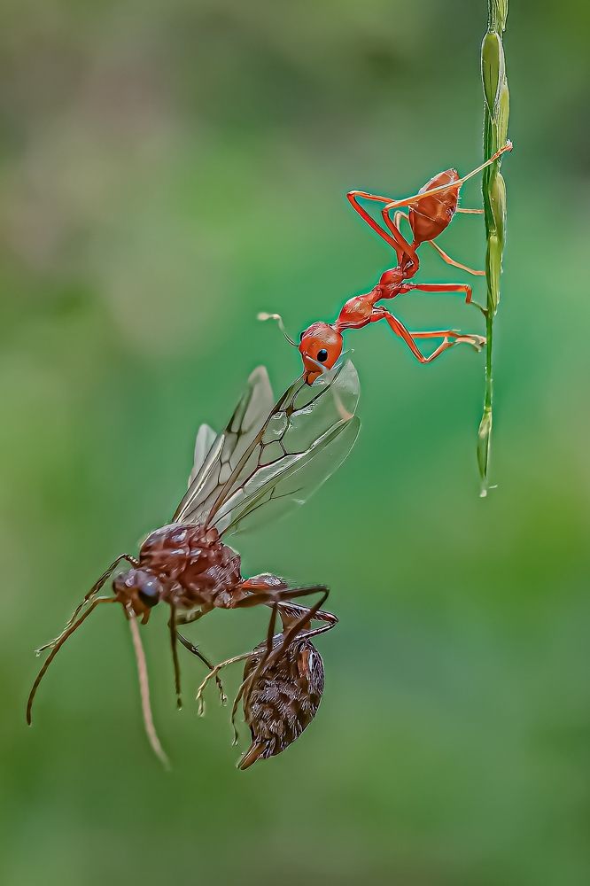 Photograph by Rahul Dey