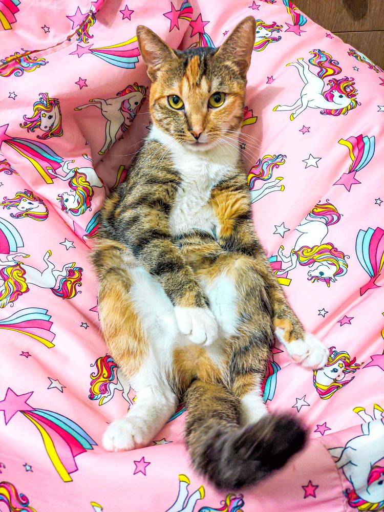 Фотография автора Александр Хухлов