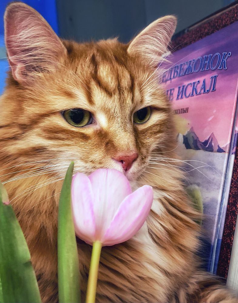 Photograph by Светлана Медведева