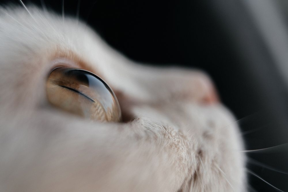 Photograph by Valentina Abrazey