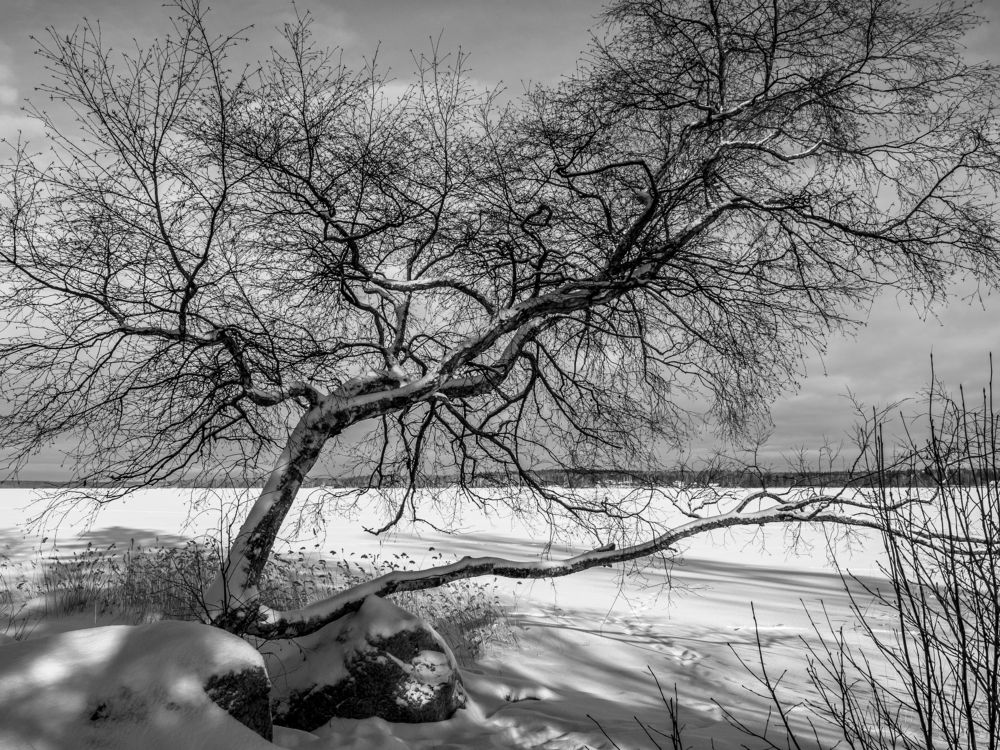 Photograph by Дмитрий Карасев