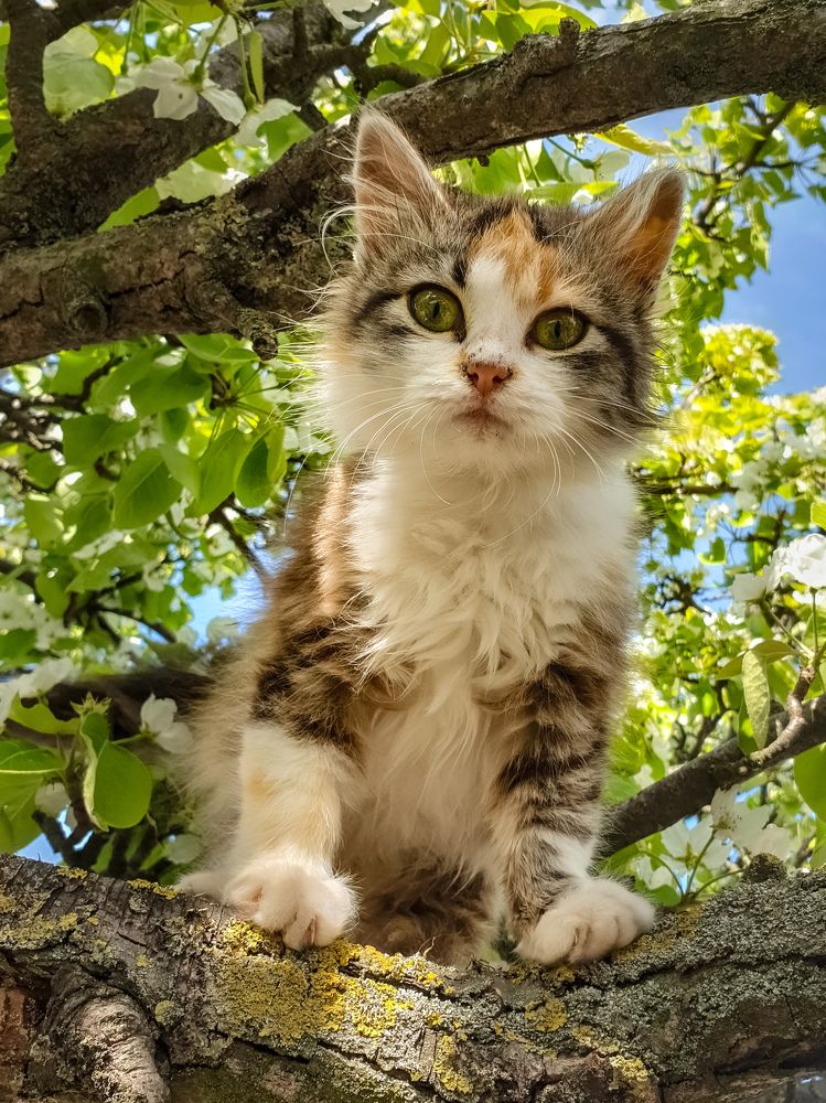 Photograph by Лариса Когтева