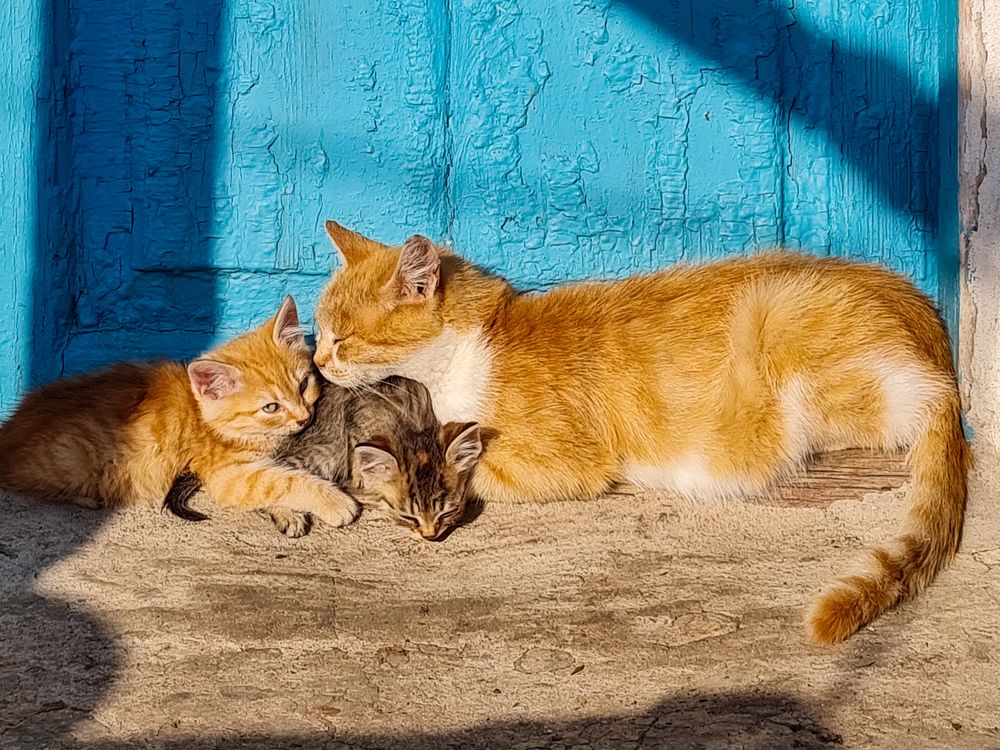 Photograph by Лариса Когтева