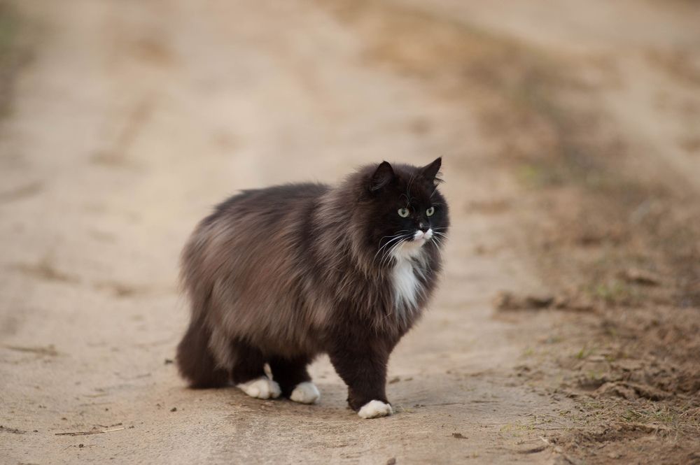 Photograph by Семина Ольга