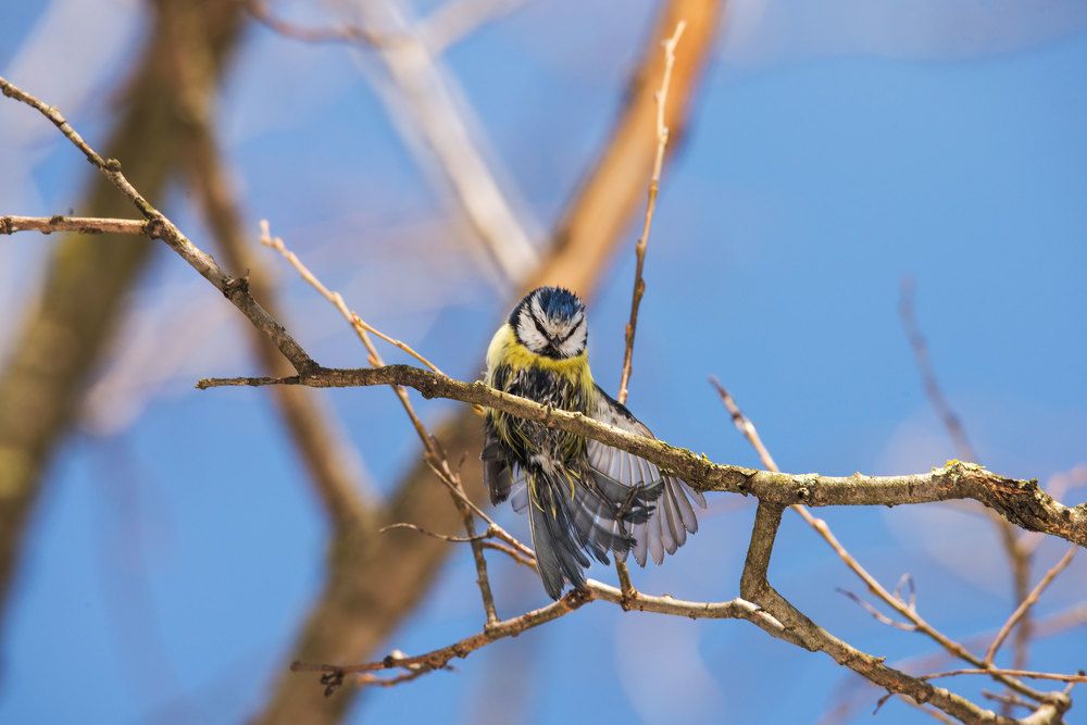 Фотография автора Анна Абрамова
