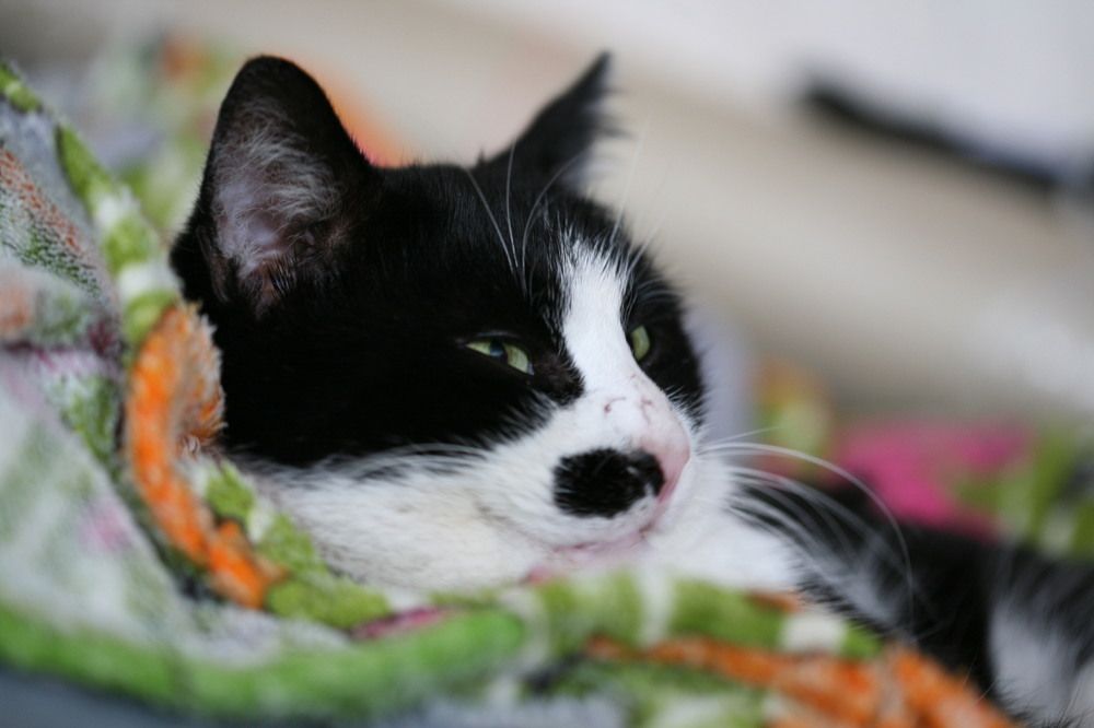 Photograph by Иван Левин