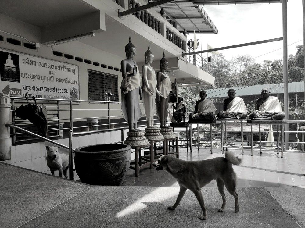 Photograph by Karina Yakovleva