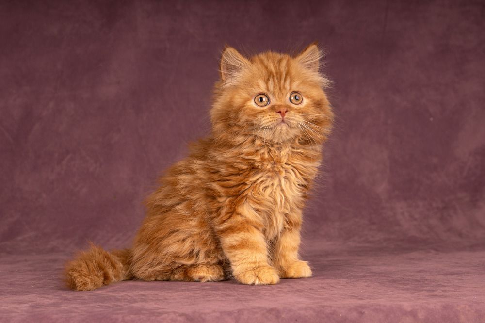 Photograph by Марина Виноградова