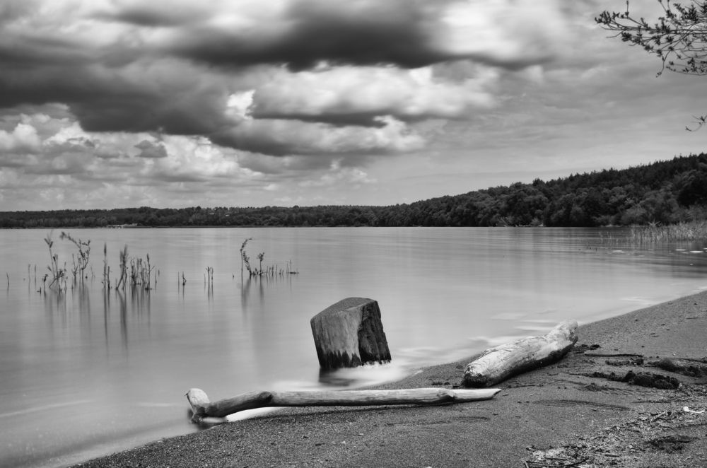 Photograph by Oleg Yashin