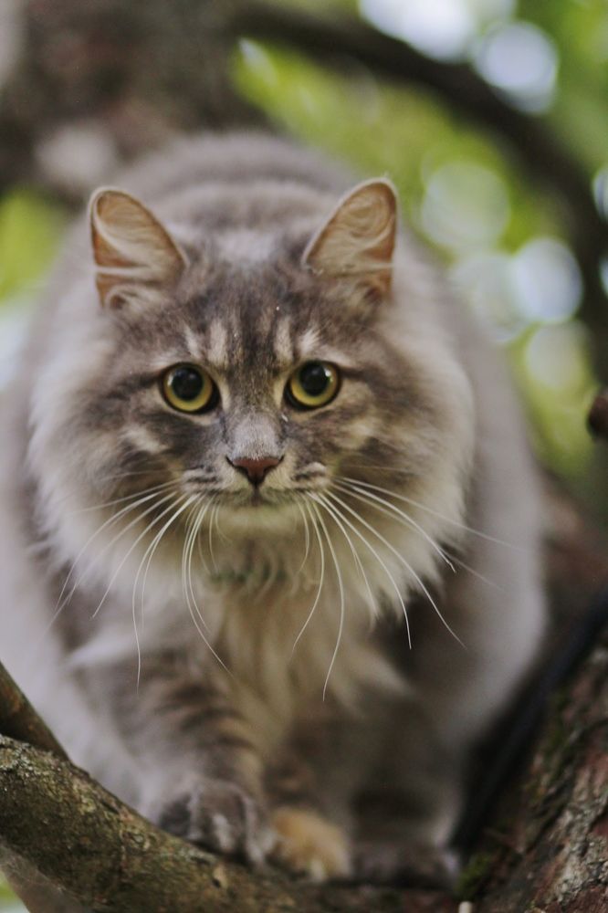 Photograph by Elena Makarova