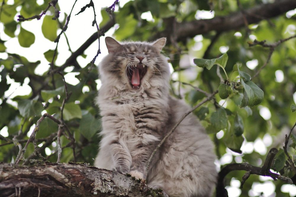 Photograph by Elena Makarova