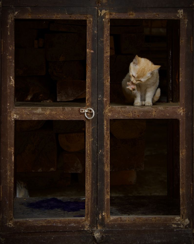 Her favourite quadrant