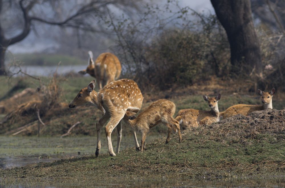 Photograph by kapil kolte