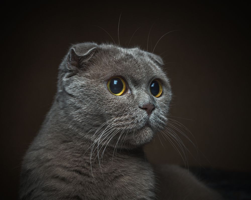 Photograph by Михаил