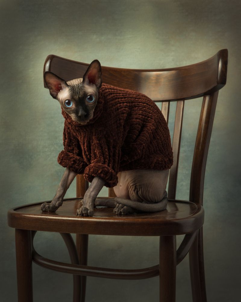 Photograph by Ольга Савельева