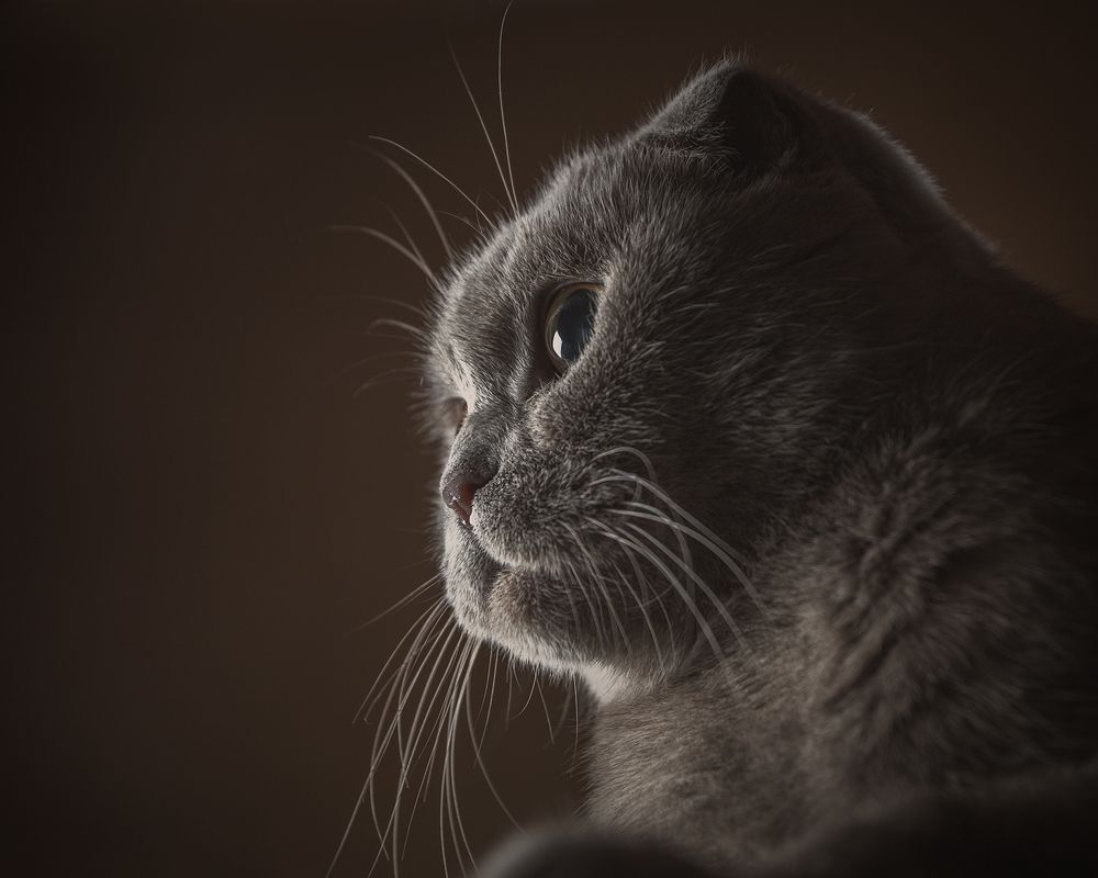 Photograph by Михаил