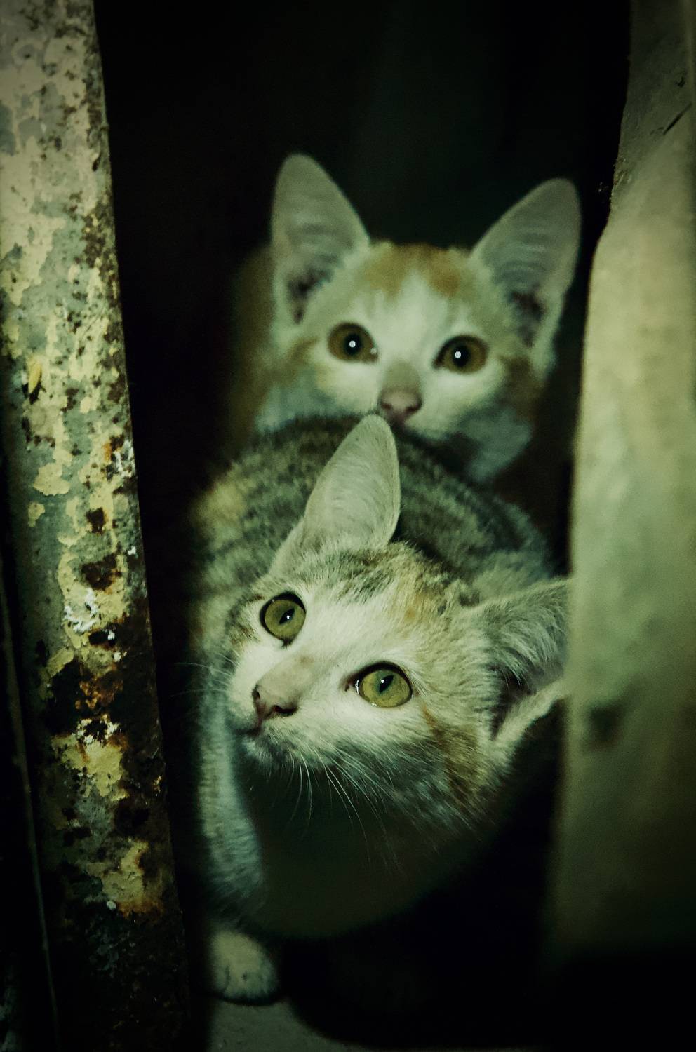 Two sisters