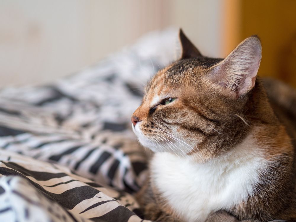 Photograph by Анна Шейко