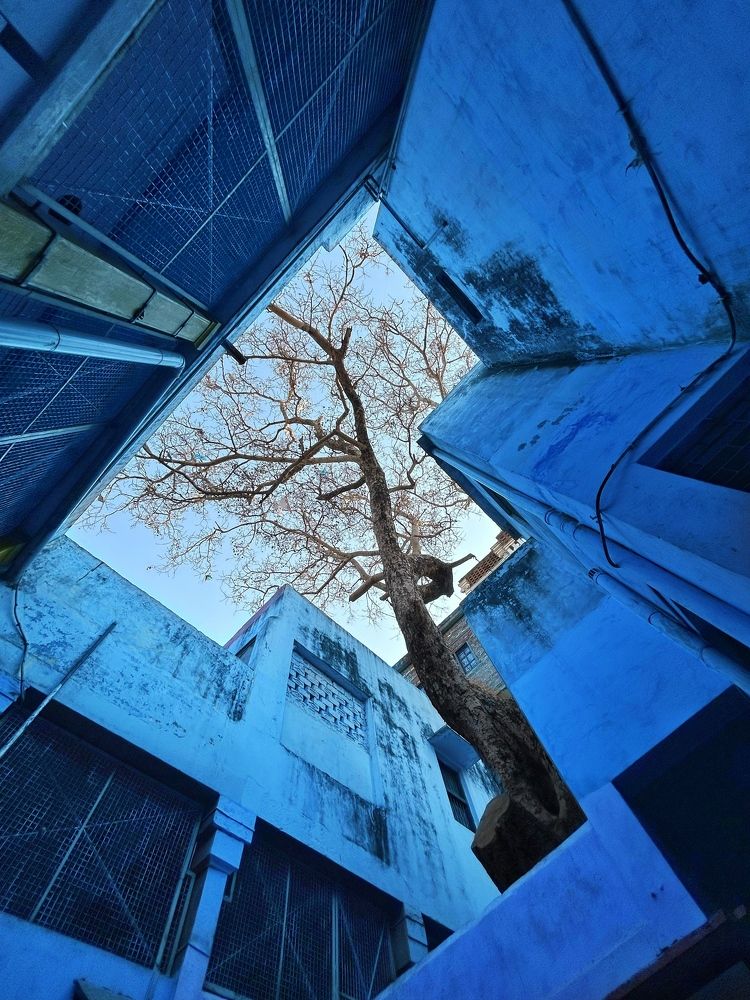 Life is so evenly odd ❤️