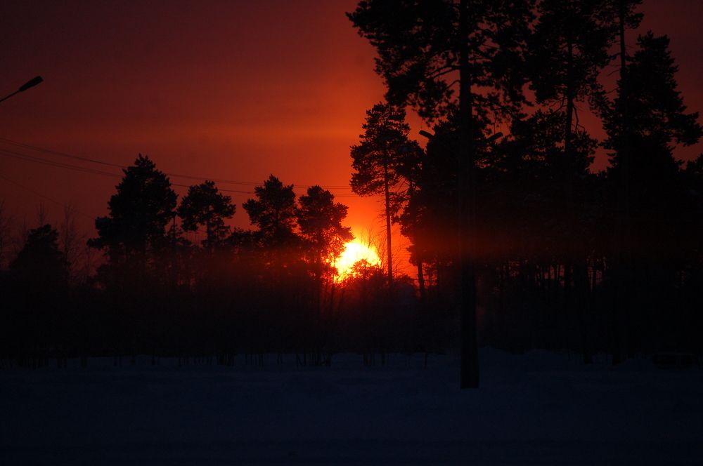 Photograph by Daria Kirina