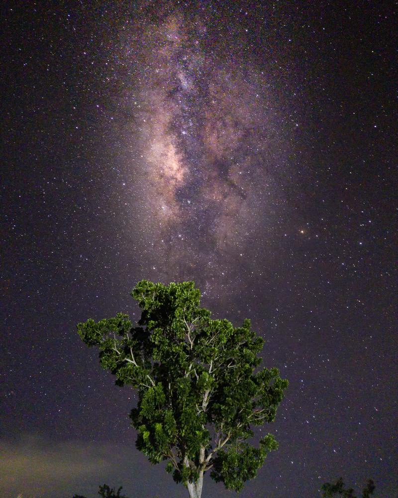 Photograph by Ian Christopher Valenzuela