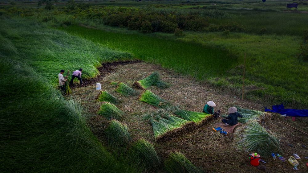 Photograph by Nguyễn Xuân Trường