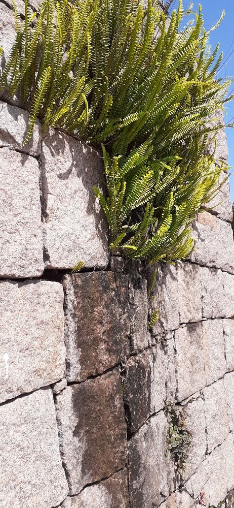 Photo #9001708