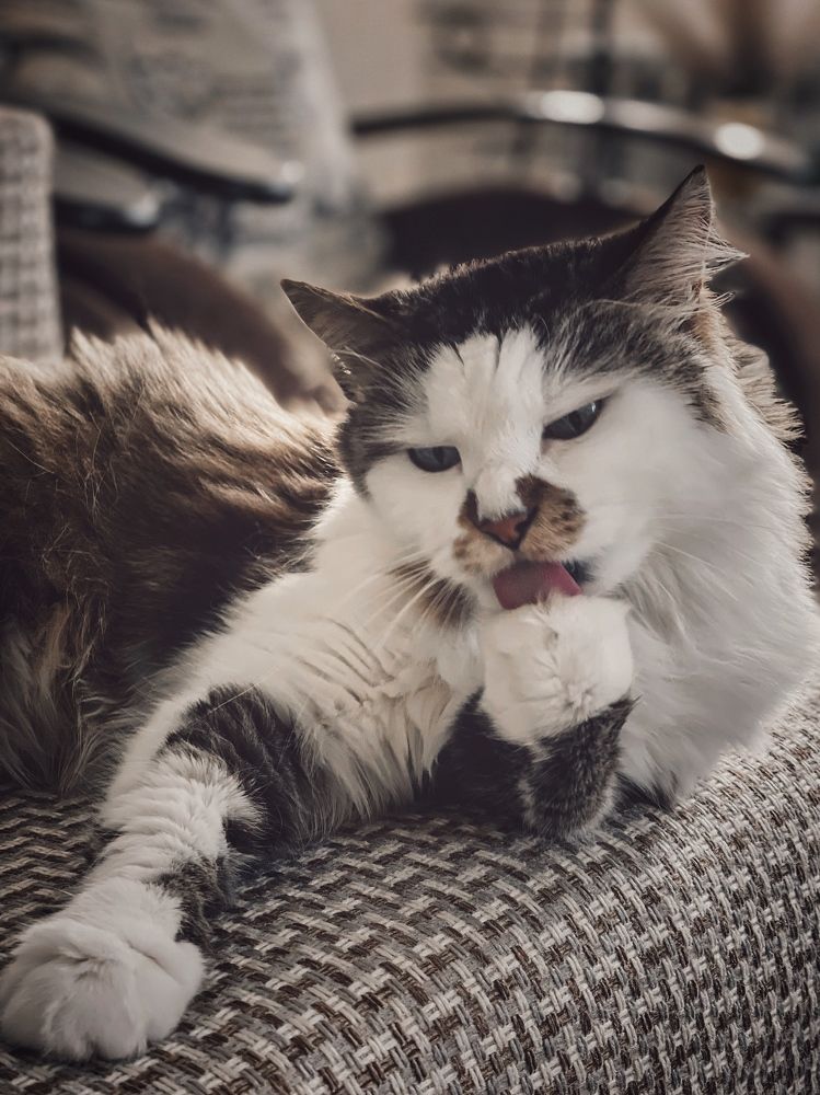 Photograph by Виктория Селютина