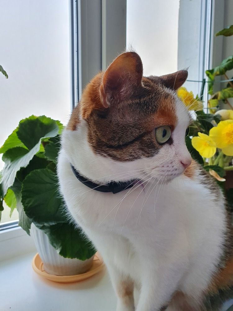 Photograph by Жанна Регор