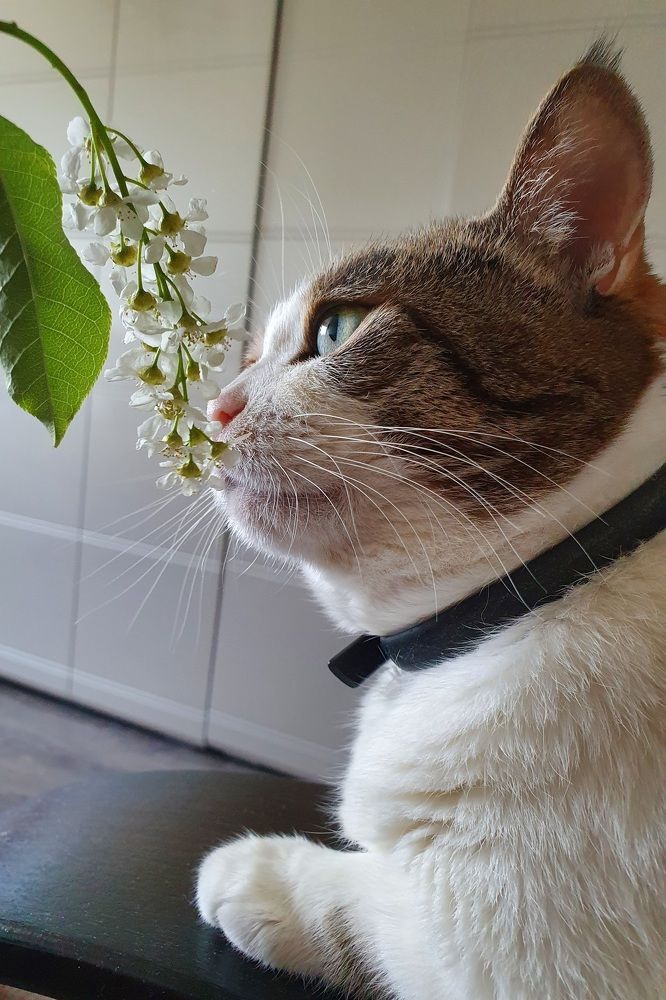 Photograph by Жанна Регор