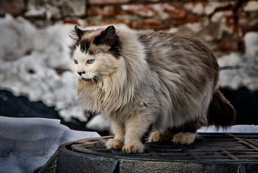 Photograph by Даниил Марков