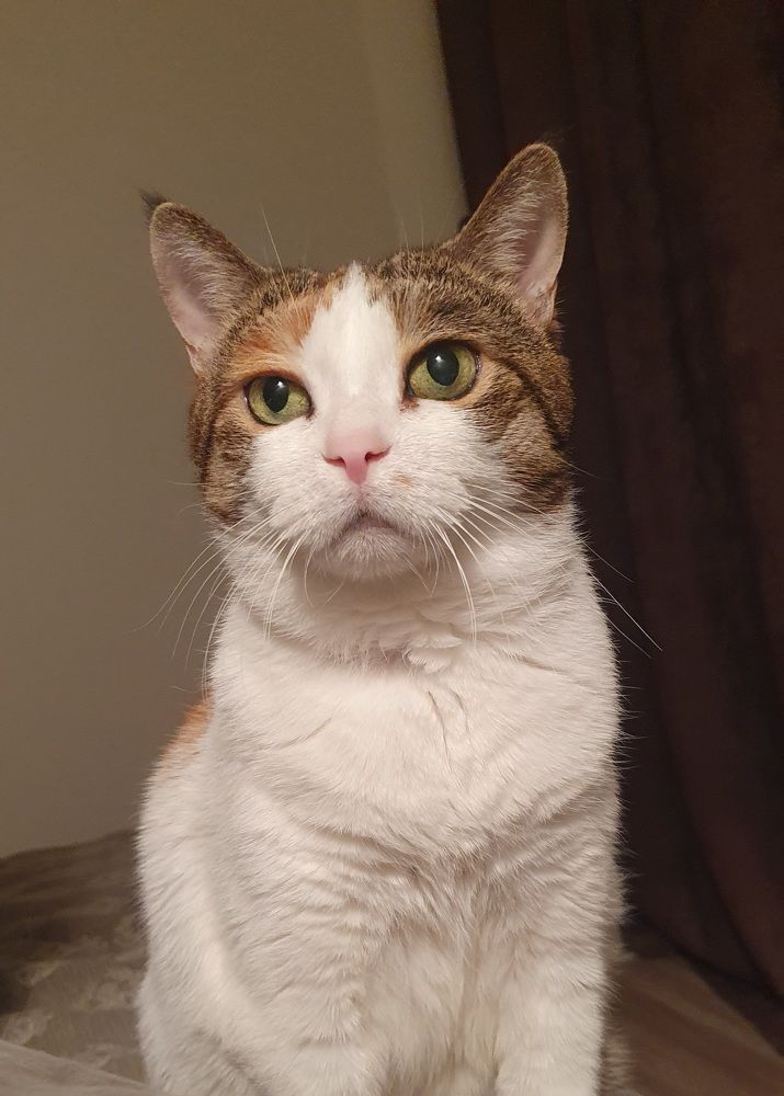 Photograph by Жанна Регор