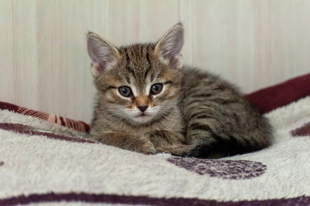 Photograph by Вадим Басов