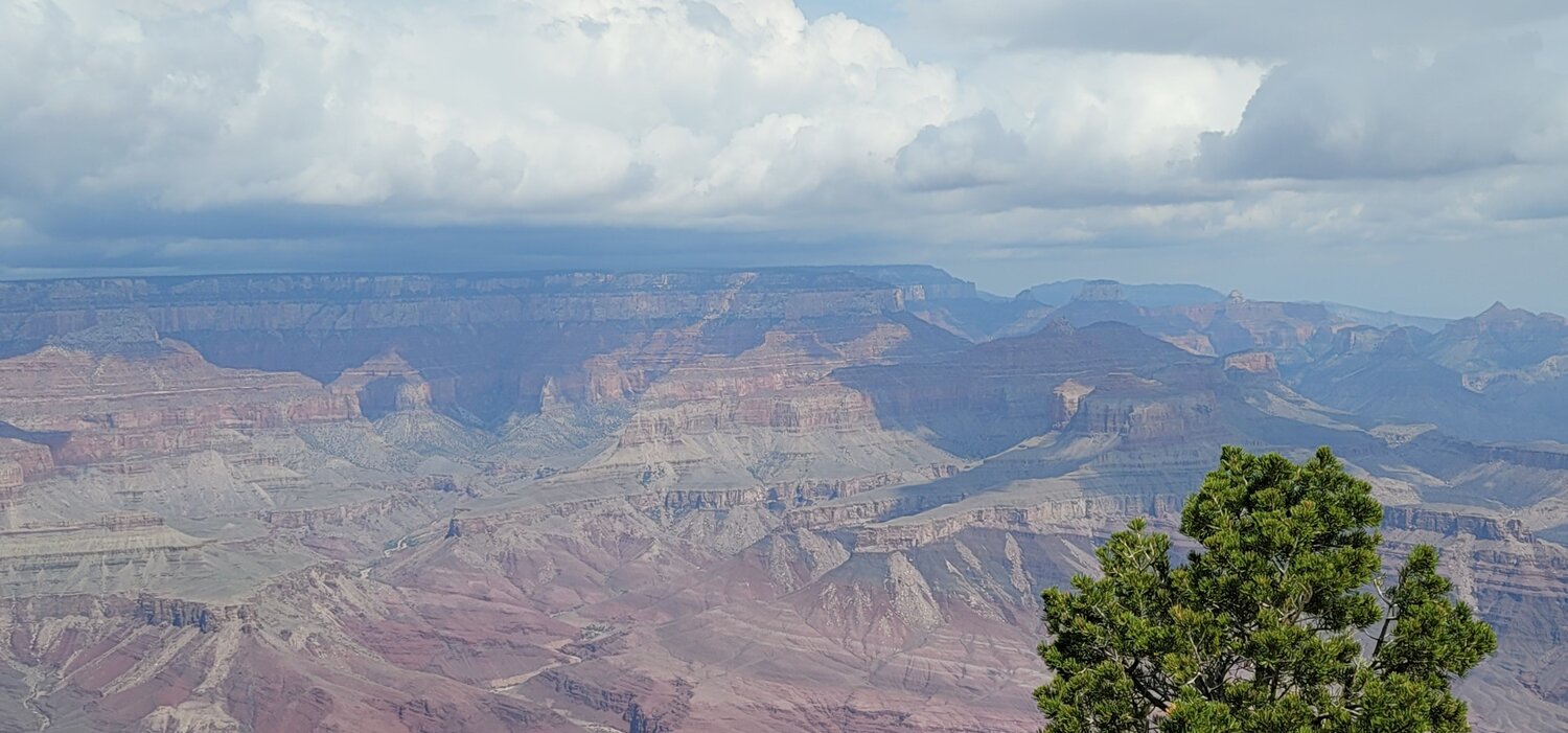 Photo #9001757