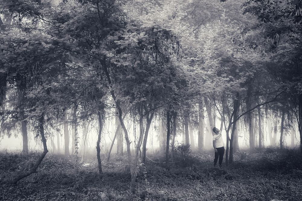 Photograph by Pralay Samanta