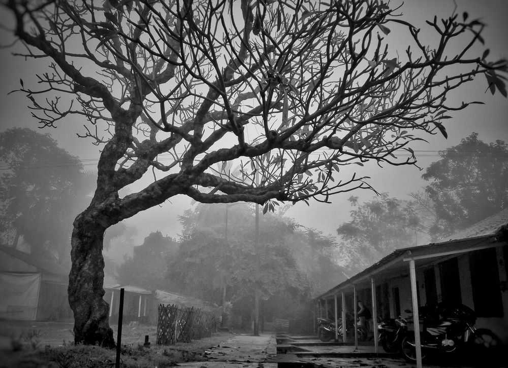 Photograph by Pralay Samanta