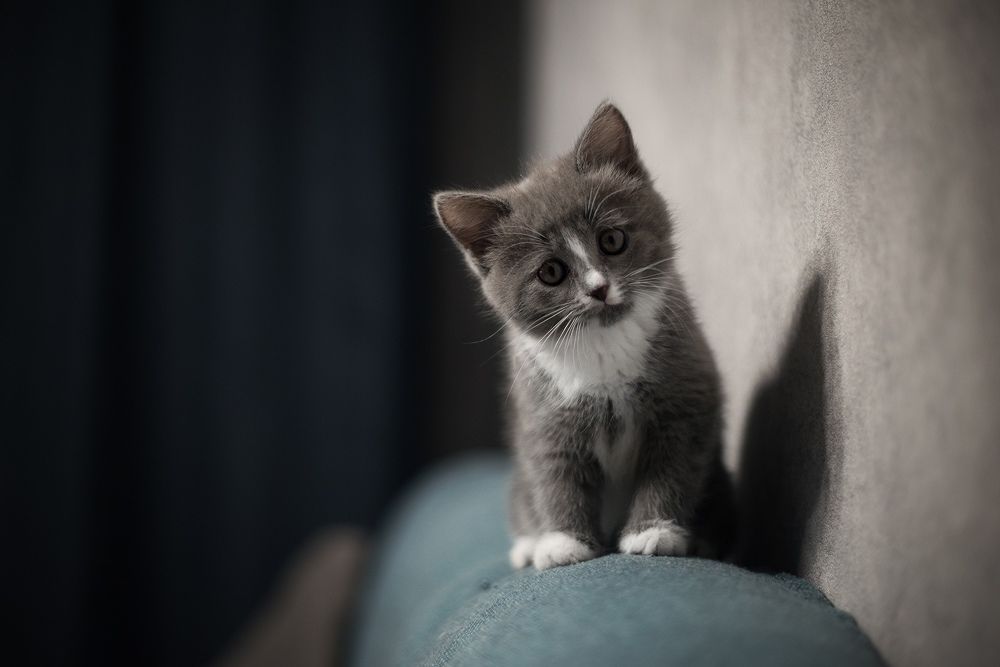 Photograph by Александр Головкин