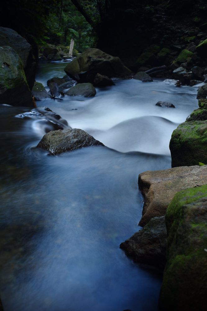 Фотография автора R. Zai