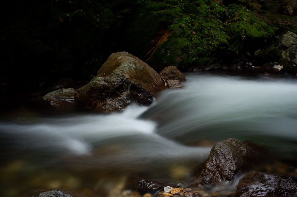 Фотография автора R. Zai