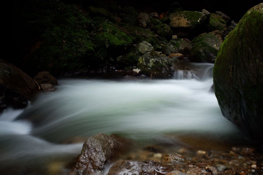 Фотография автора R. Zai