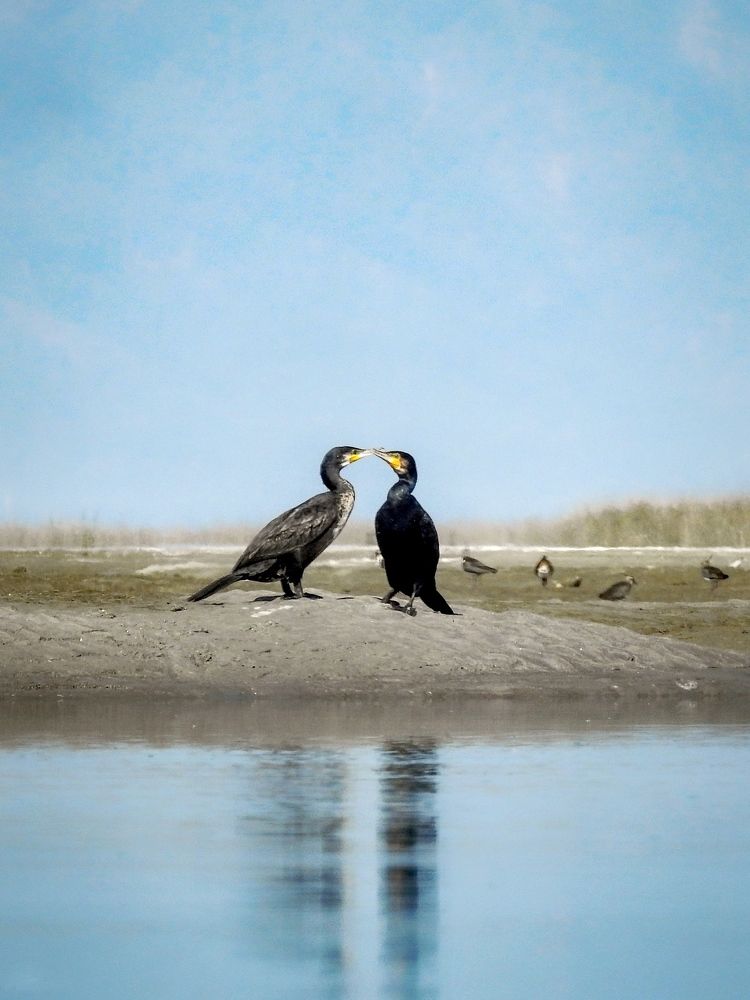 Photograph by Tanusri RoyChowdhury