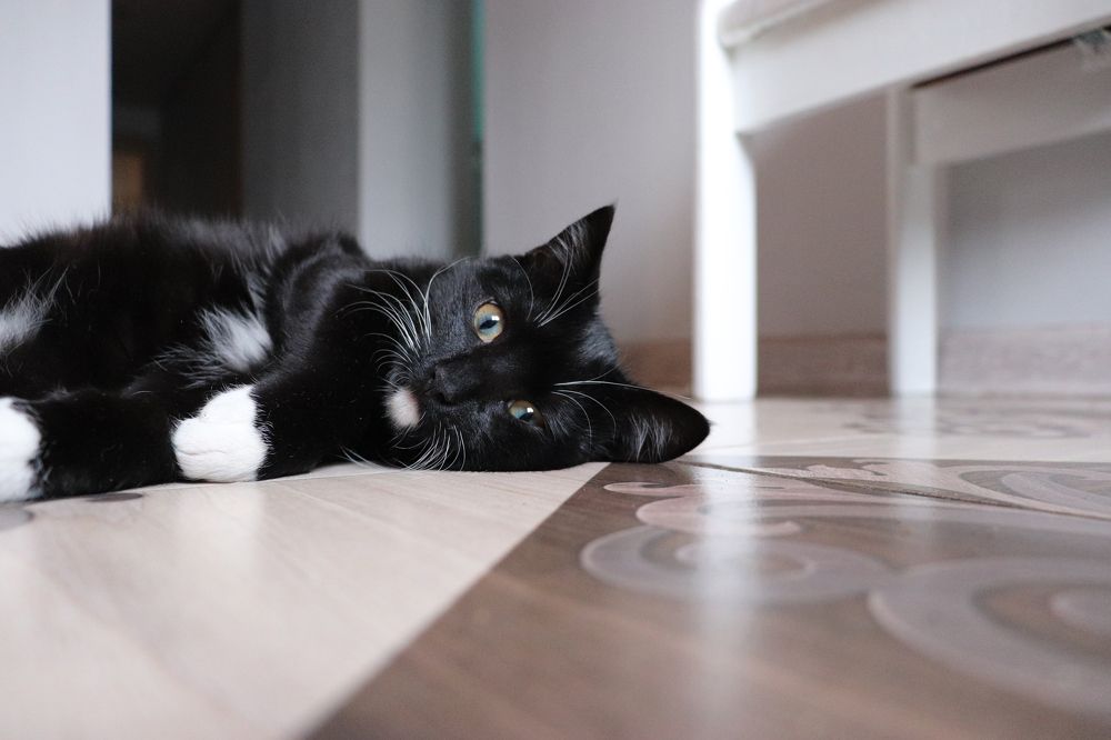 Photograph by Евгения Бронова