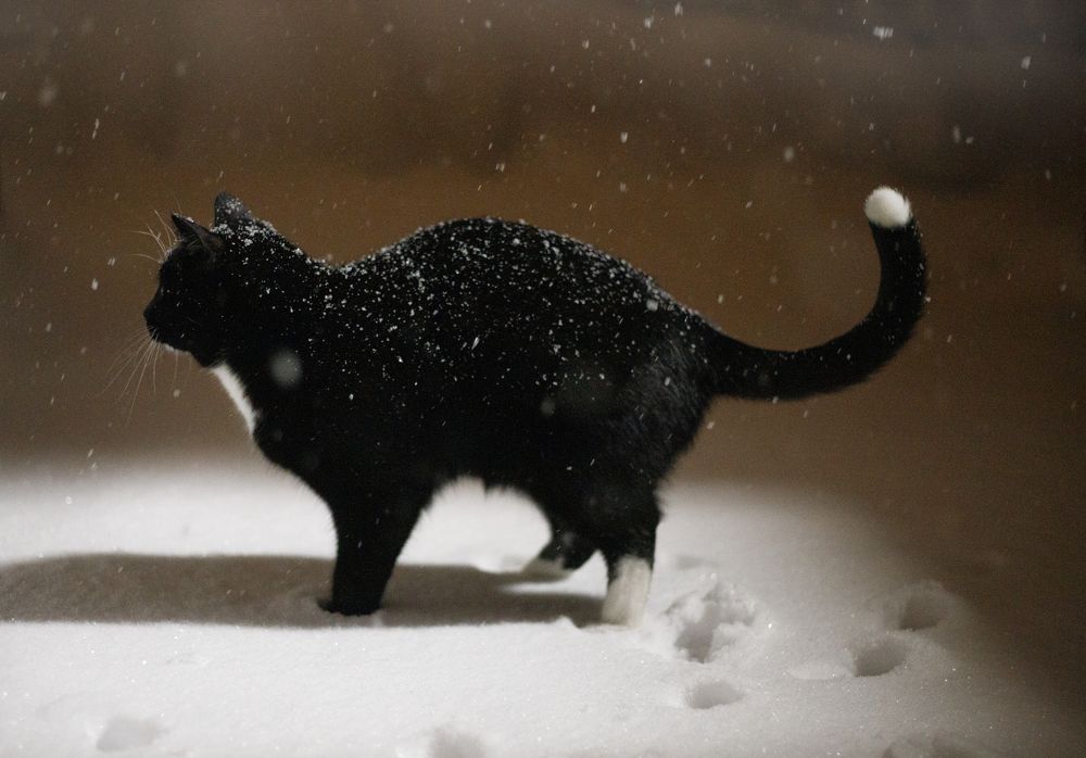 Photograph by Евгения Бронова