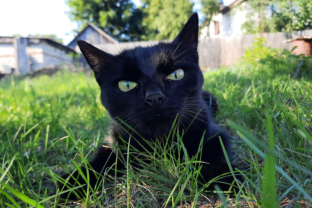 Photograph by Михаил Рассказ