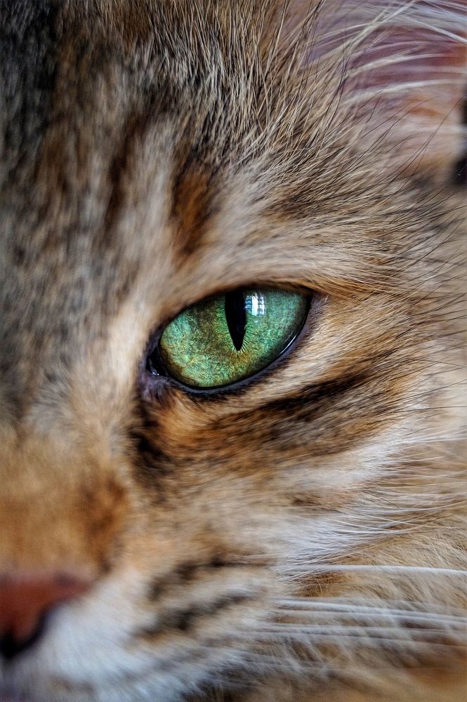 Photograph by Александра