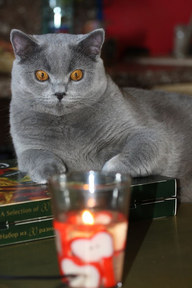 Photograph by Константин Лагоденко