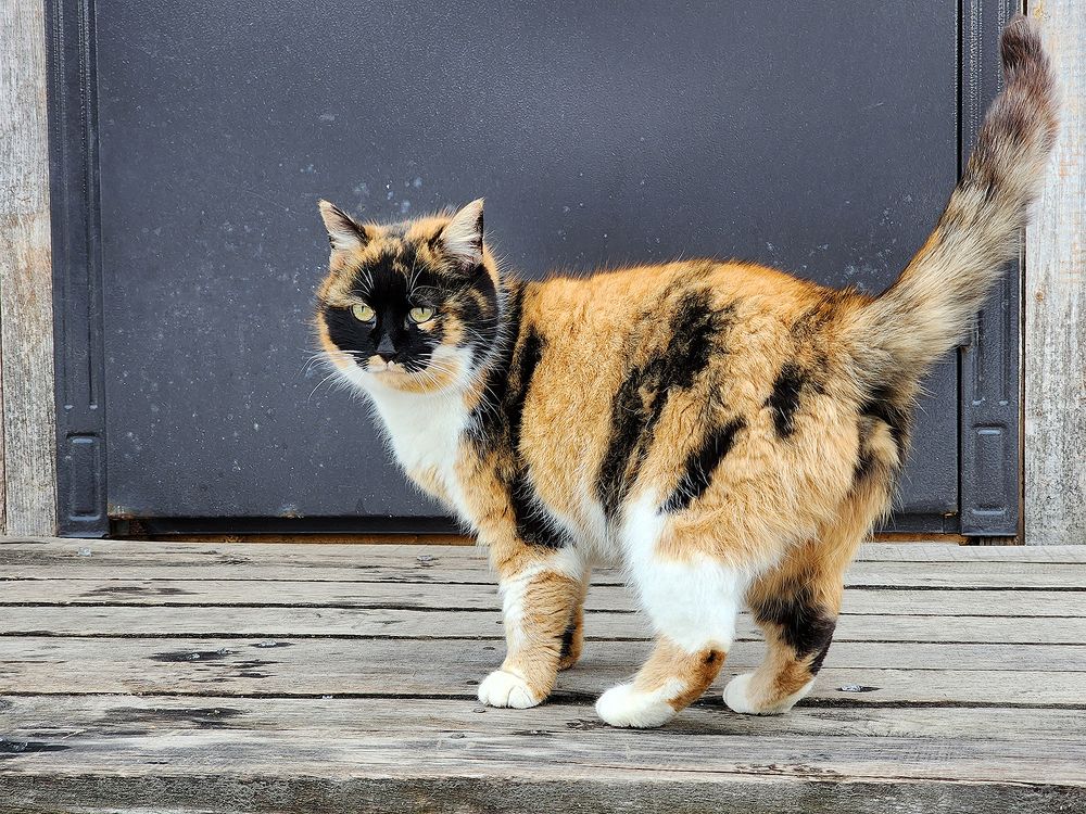 Photograph by Михаил Рассказ