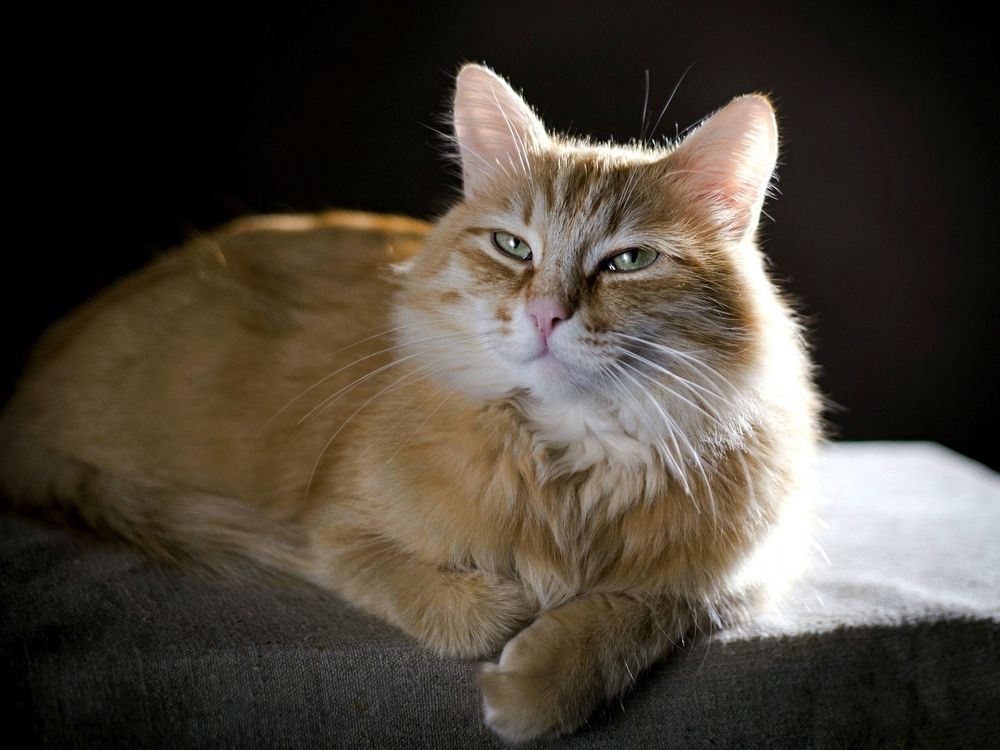 Сеня - мудрый.